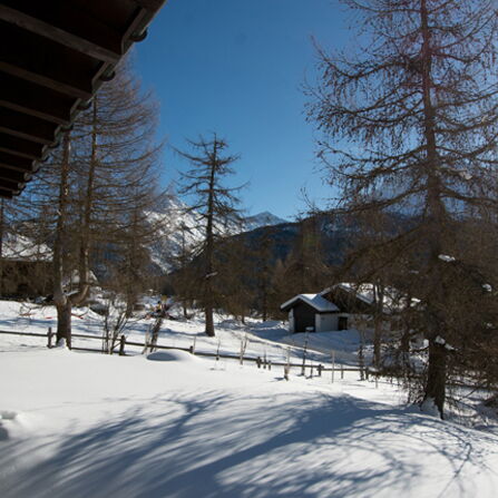 Einfamilienhaus an ruhiger und idyllischer Hanglage in Punt Muragl