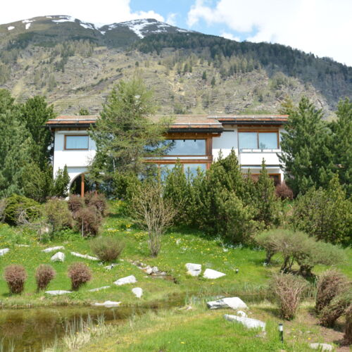 Light-flooded detached house with beautiful garden and biotope in Pontresina